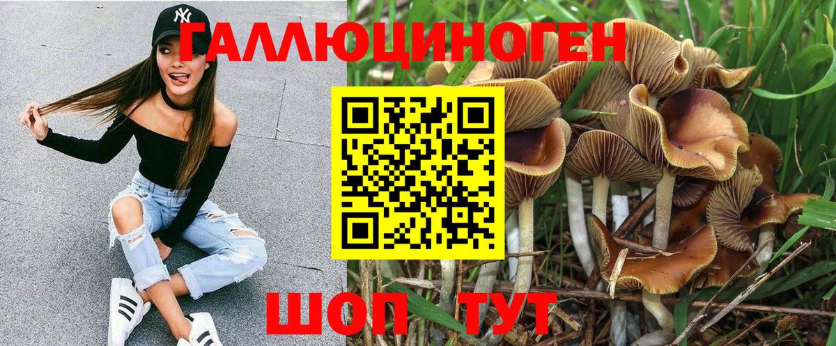 Псилоцибиновые грибы прущие грибы Сургут