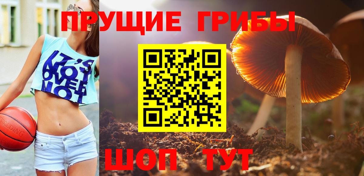 где можно купить наркотик  Вход с VPN  Сургут  Галлюциногенные грибы прущие грибы 